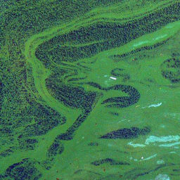 Mega Cyano test launch